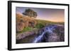 Spring Morning Stream at Table Mountain-Vincent James-Framed Photographic Print