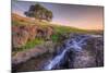 Spring Morning Stream at Table Mountain-Vincent James-Mounted Photographic Print