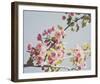 Spring Morning-Irene Suchocki-Framed Giclee Print