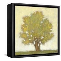 Spring Morning-Norman Wyatt Jr.-Framed Stretched Canvas