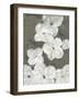 Spring Musings - Tumble-Belle Poesia-Framed Giclee Print