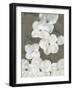 Spring Musings - Tumble-Belle Poesia-Framed Giclee Print