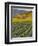 Spring Mustard Flowers in Screaming Eagle Vineyard, Napa Valley, Napa County, California, Usa-Janis Miglavs-Framed Photographic Print