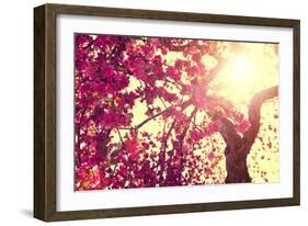 Spring Nature Background Blooming Tree over Sunny Sky. Spring Blossom. Apple Flowers. Sun Flare. Vi-Subbotina Anna-Framed Photographic Print