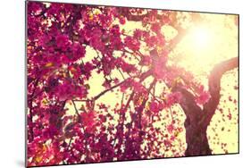 Spring Nature Background Blooming Tree over Sunny Sky. Spring Blossom. Apple Flowers. Sun Flare. Vi-Subbotina Anna-Mounted Photographic Print