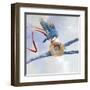 Spring Nest-Nancy Tillman-Framed Art Print