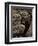 Spring Night and Willow-Nikolai Astrup-Framed Giclee Print