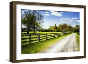 Spring on the Farm I-Alan Hausenflock-Framed Photographic Print