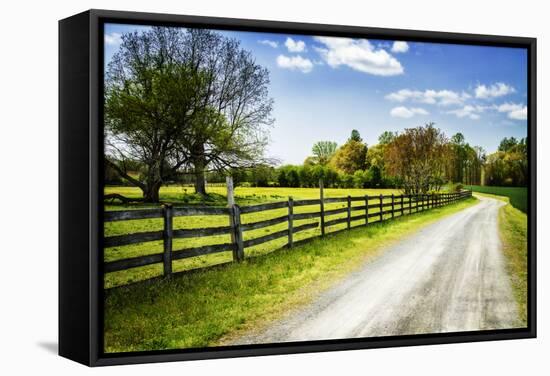 Spring on the Farm I-Alan Hausenflock-Framed Stretched Canvas