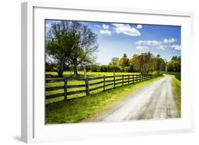 Spring on the Farm I-Alan Hausenflock-Framed Photographic Print