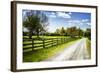 Spring on the Farm I-Alan Hausenflock-Framed Photographic Print