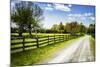 Spring on the Farm I-Alan Hausenflock-Mounted Photographic Print