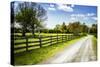 Spring on the Farm I-Alan Hausenflock-Stretched Canvas