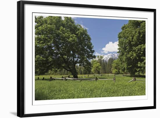 Spring On The Farm-Donald Paulson-Framed Giclee Print