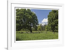 Spring On The Farm-Donald Paulson-Framed Giclee Print