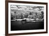 Spring on the Mattaponi I-Alan Hausenflock-Framed Photographic Print