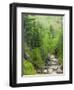 Spring on the Pemigewasset River, Flume Gorge, Franconia Notch State Park, New Hampshire, USA-Jerry & Marcy Monkman-Framed Photographic Print