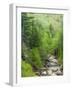 Spring on the Pemigewasset River, Flume Gorge, Franconia Notch State Park, New Hampshire, USA-Jerry & Marcy Monkman-Framed Photographic Print