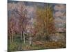 'Spring on the River Banks', late 19th century. (1941)-Alfred Sisley-Mounted Giclee Print