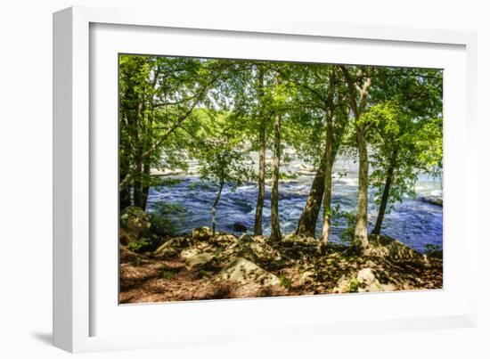 Spring on the River I-Alan Hausenflock-Framed Photographic Print