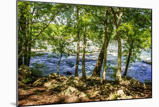 Spring on the River I-Alan Hausenflock-Mounted Photographic Print