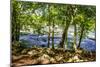 Spring on the River I-Alan Hausenflock-Mounted Photographic Print