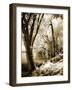 Spring on the River II-Alan Hausenflock-Framed Photographic Print