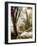 Spring on the River II-Alan Hausenflock-Framed Photographic Print