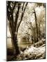 Spring on the River II-Alan Hausenflock-Mounted Photographic Print