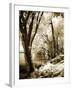 Spring on the River II-Alan Hausenflock-Framed Photographic Print