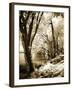 Spring on the River II-Alan Hausenflock-Framed Photographic Print