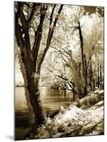 Spring on the River II-Alan Hausenflock-Mounted Photographic Print