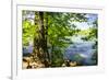 Spring on the River II-Alan Hausenflock-Framed Photographic Print