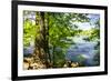 Spring on the River II-Alan Hausenflock-Framed Photographic Print