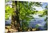 Spring on the River II-Alan Hausenflock-Mounted Photographic Print