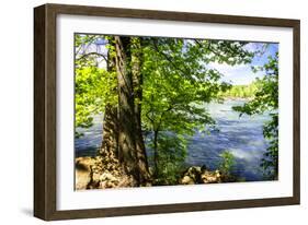 Spring on the River II-Alan Hausenflock-Framed Photographic Print