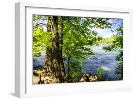 Spring on the River II-Alan Hausenflock-Framed Photographic Print