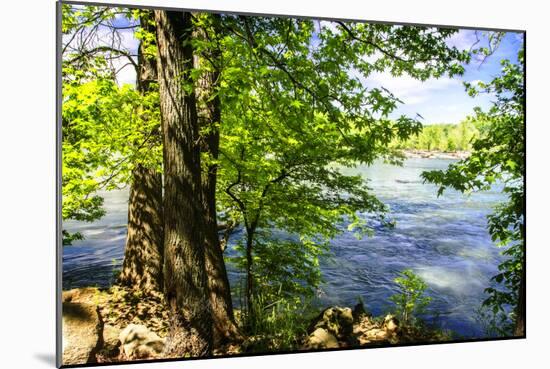 Spring on the River II-Alan Hausenflock-Mounted Photographic Print
