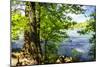 Spring on the River II-Alan Hausenflock-Mounted Photographic Print