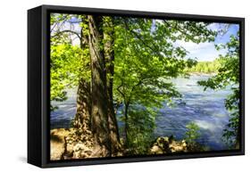 Spring on the River II-Alan Hausenflock-Framed Stretched Canvas