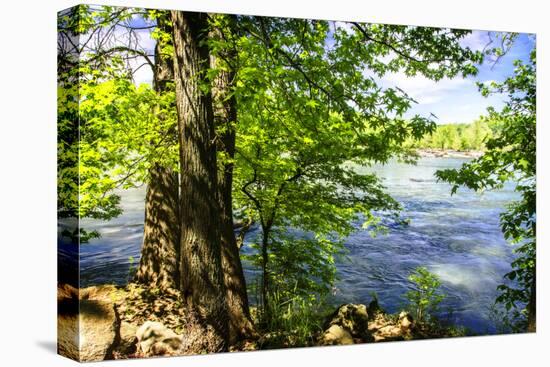 Spring on the River II-Alan Hausenflock-Stretched Canvas