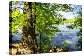 Spring on the River II-Alan Hausenflock-Stretched Canvas