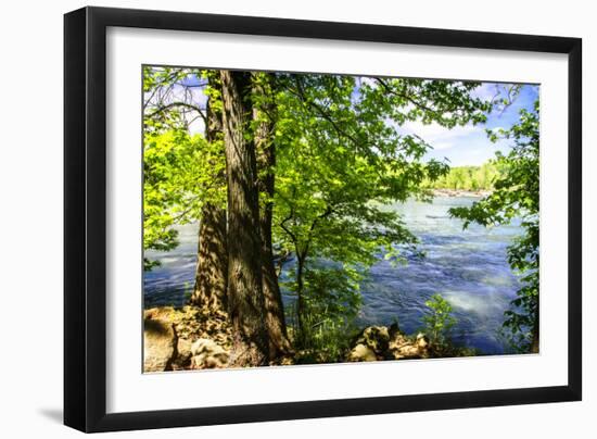 Spring on the River II-Alan Hausenflock-Framed Premium Photographic Print