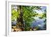 Spring on the River II-Alan Hausenflock-Framed Photographic Print