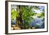 Spring on the River II-Alan Hausenflock-Framed Photographic Print