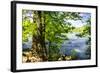 Spring on the River II-Alan Hausenflock-Framed Photographic Print