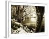 Spring on the River III-Alan Hausenflock-Framed Photographic Print