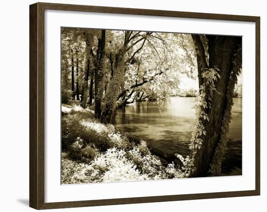 Spring on the River III-Alan Hausenflock-Framed Photographic Print