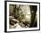 Spring on the River III-Alan Hausenflock-Framed Photographic Print