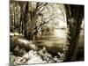 Spring on the River III-Alan Hausenflock-Mounted Photographic Print